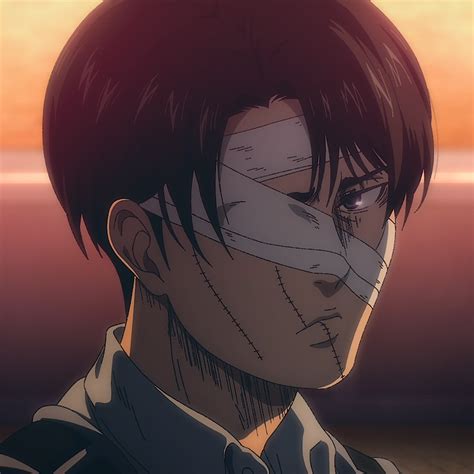 Levi